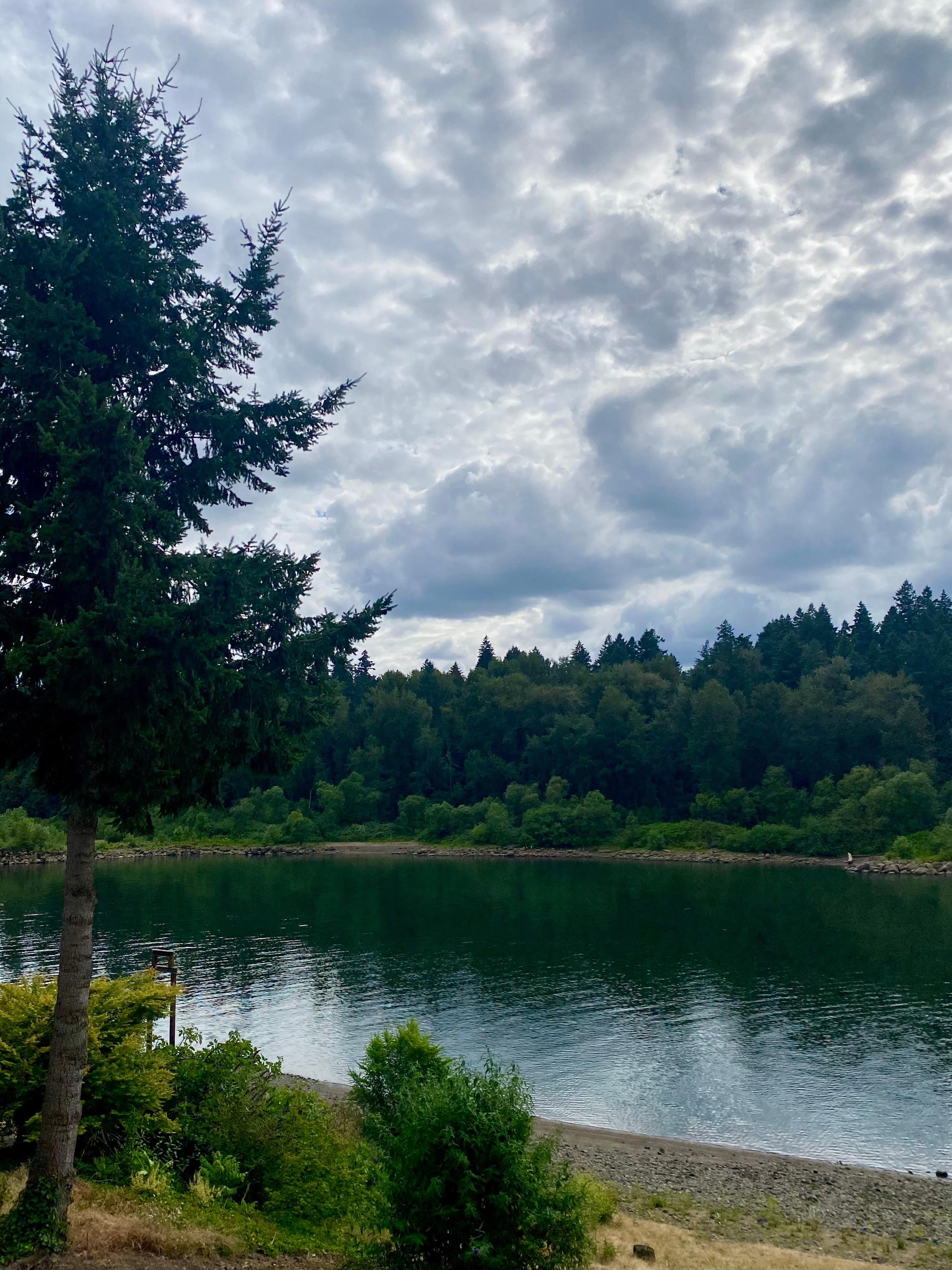 This was the River view during the afternoon. 