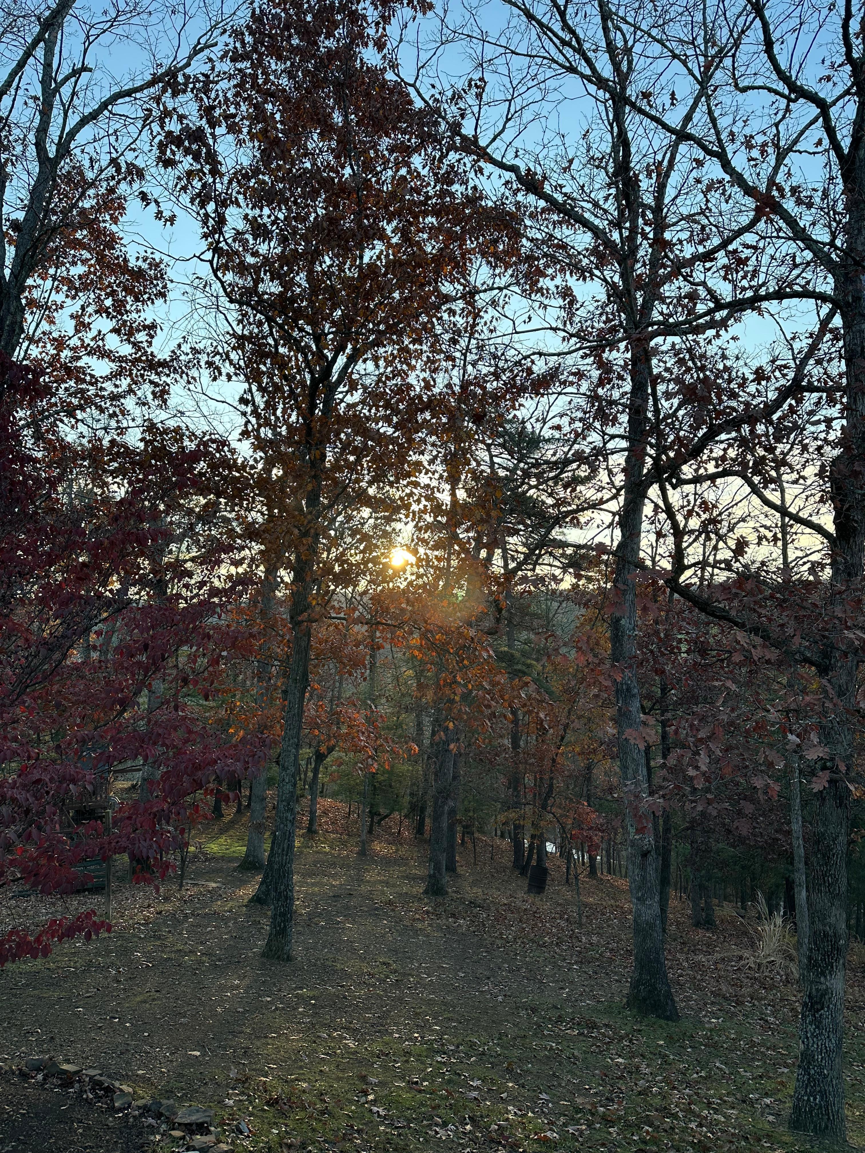 Sunrise at back of house 
