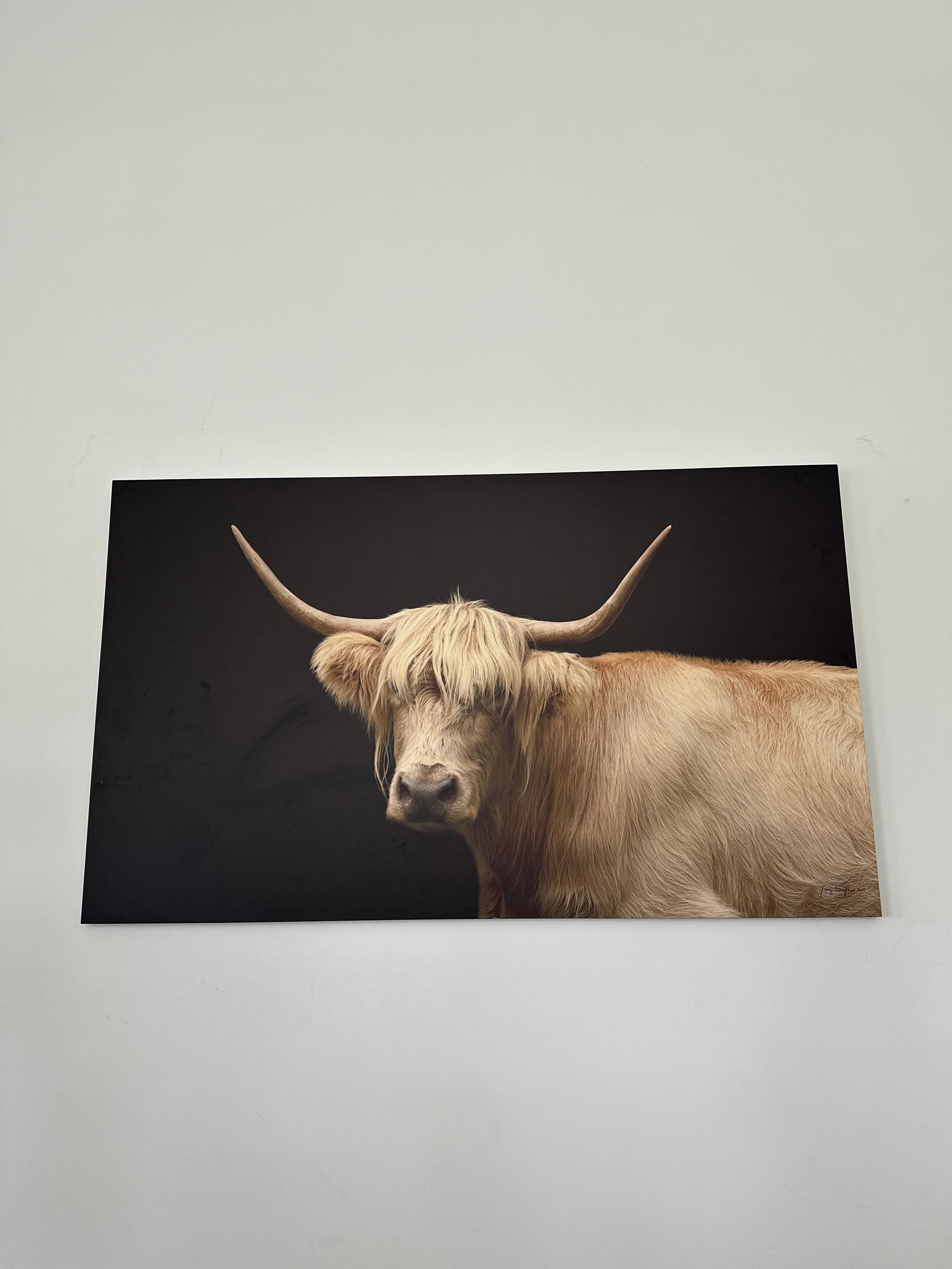 Our fave portrait in the house