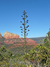Photo from hike with trailhead one block from the house.