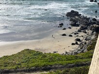 View from the back deck