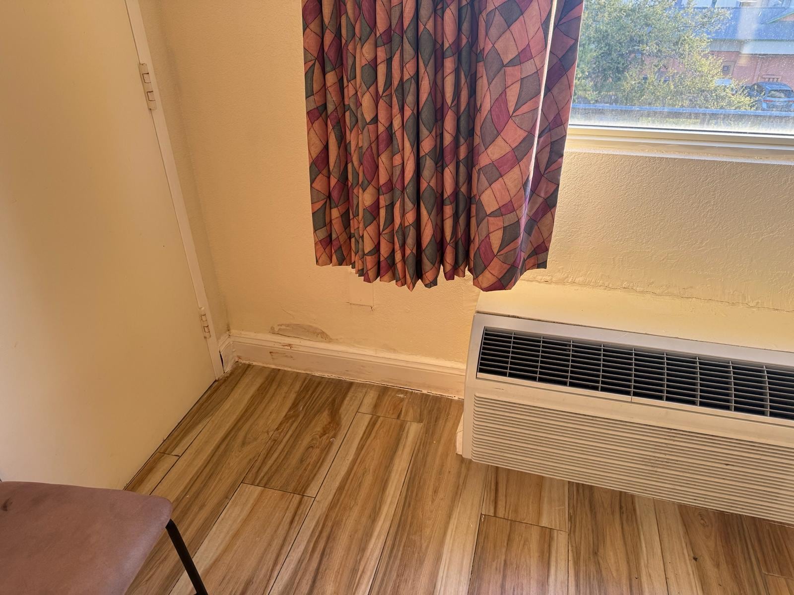 Mold on baseboards 