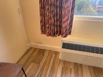 Mold on baseboards