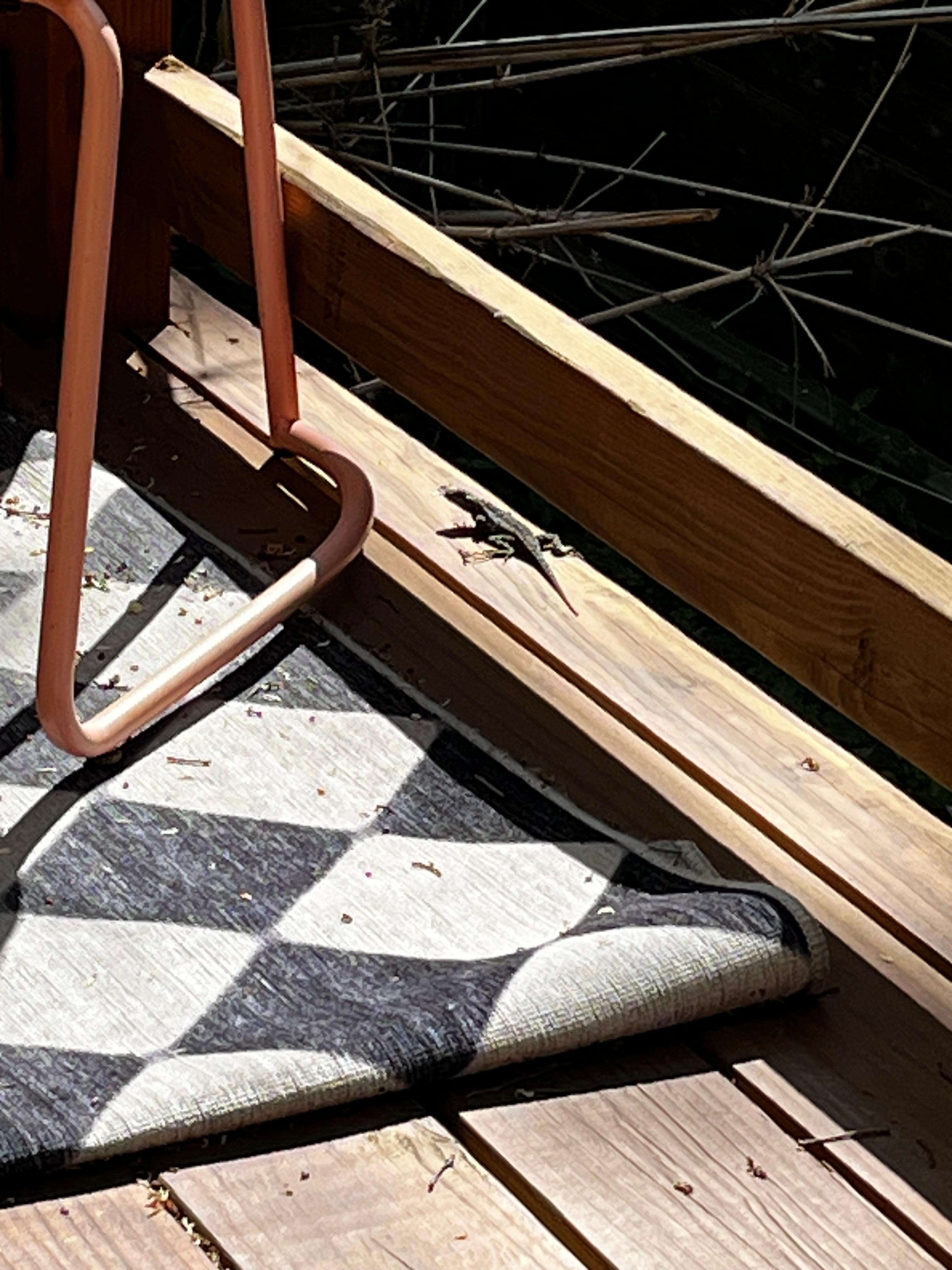 Cute little visitor. 