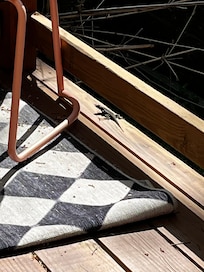 Cute little visitor.