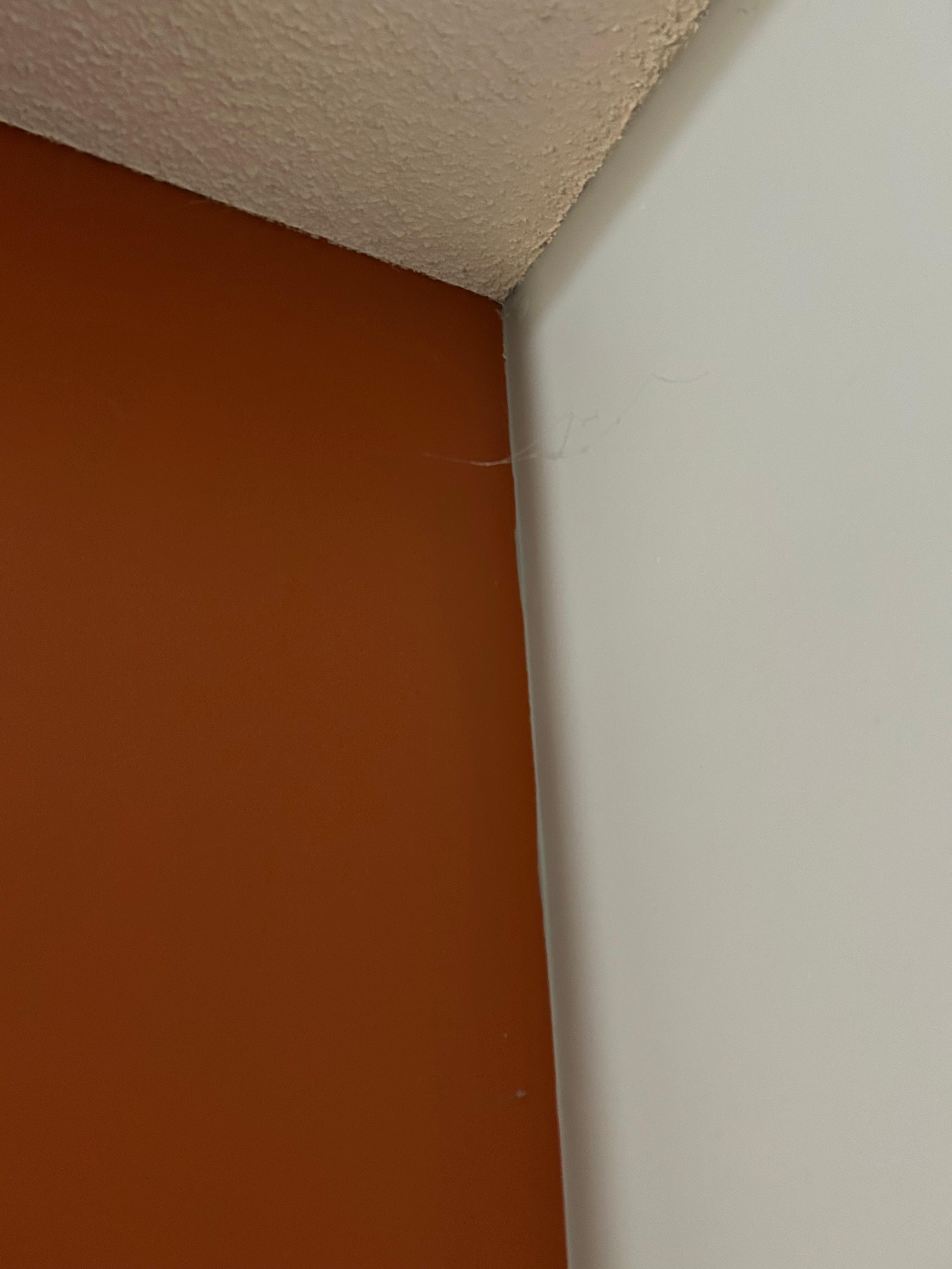 Cobwebs in corner of room.