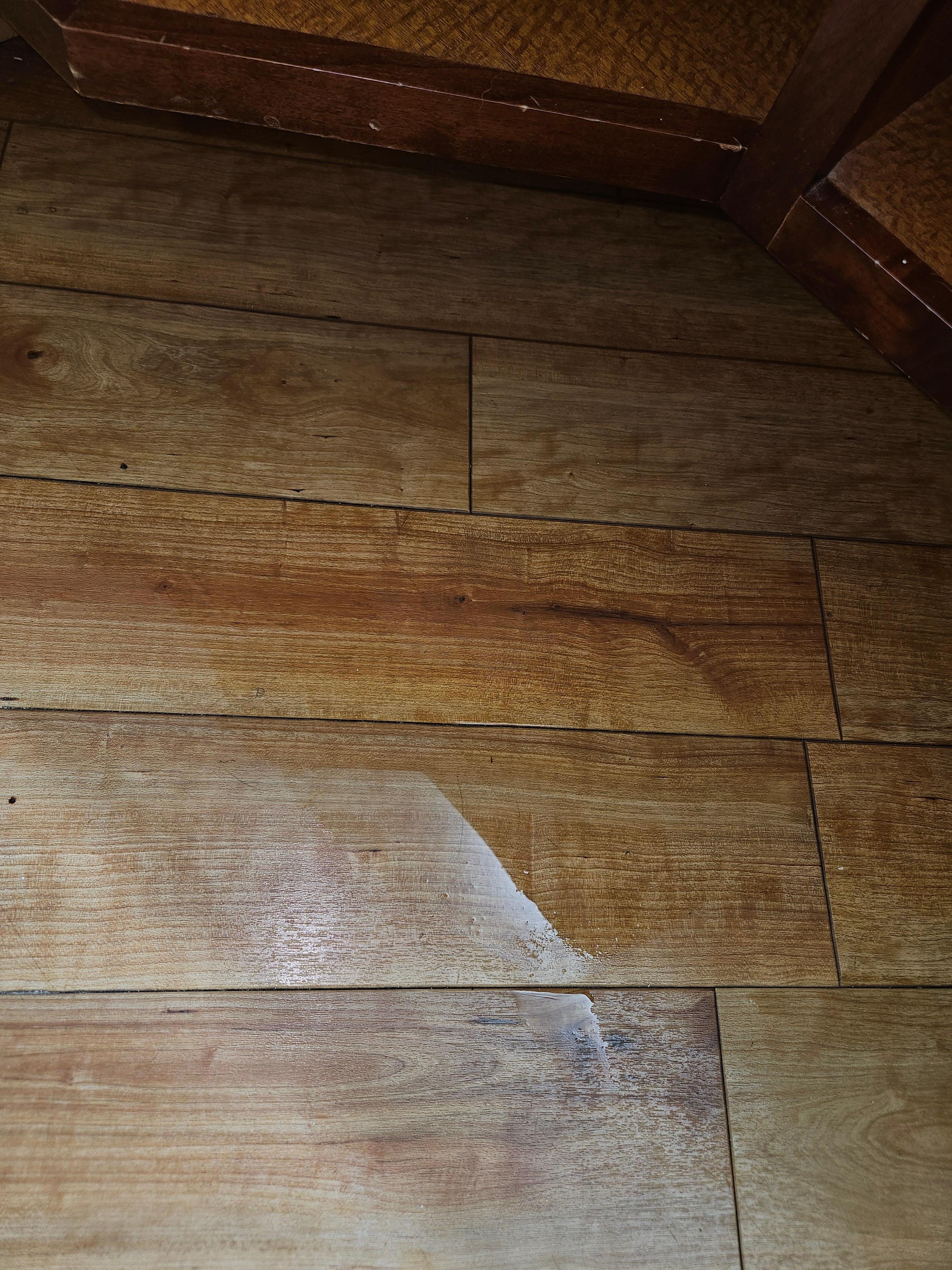 Puddle in the Bathroom 