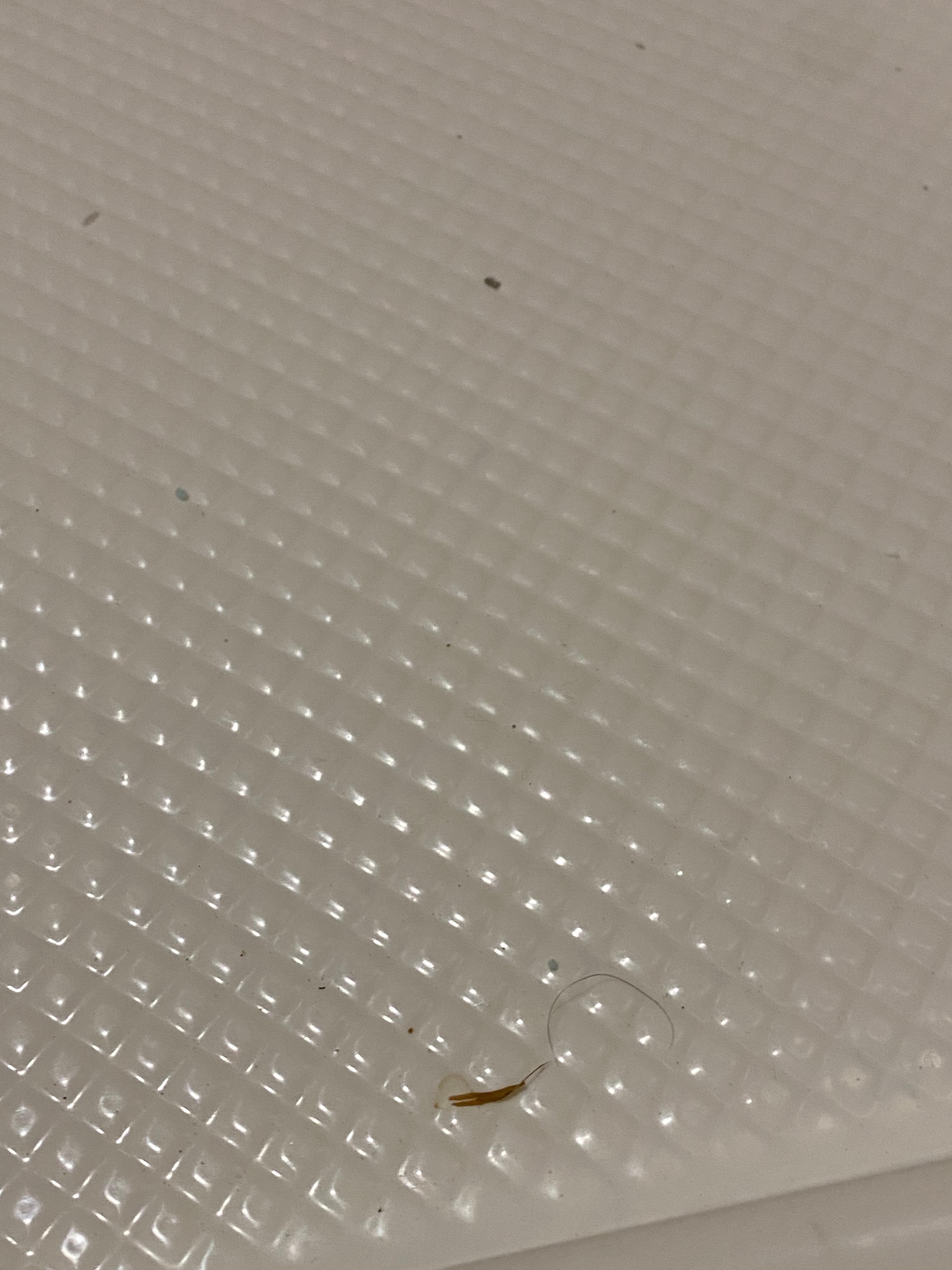 Dirt & hair in dirt shower. Hair in the sink, not pictured. 