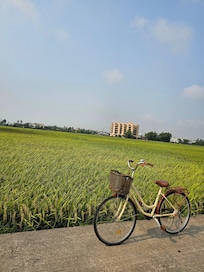 Free bicycle for rental