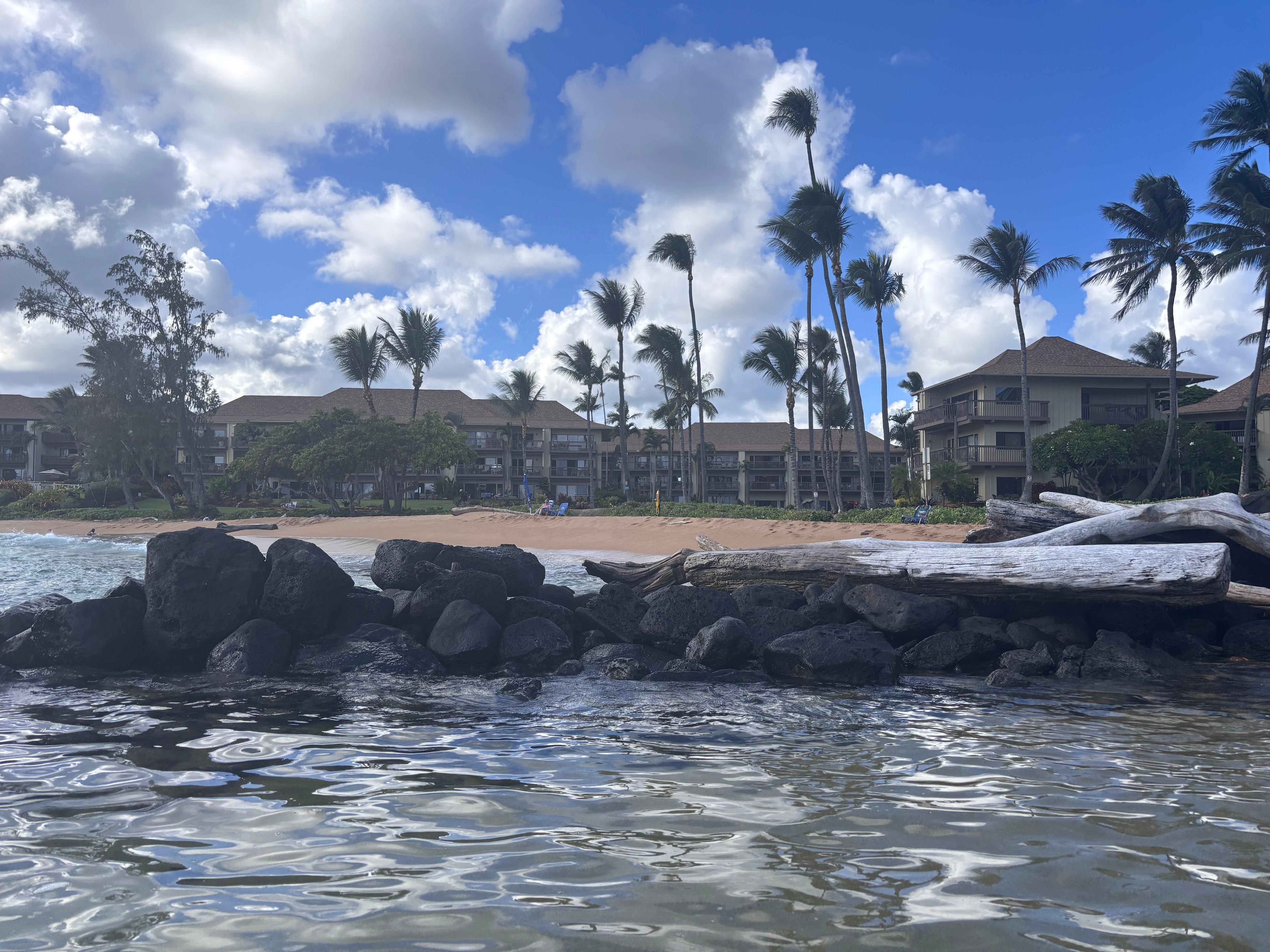 View of Lea Nani from the swimmable pond area