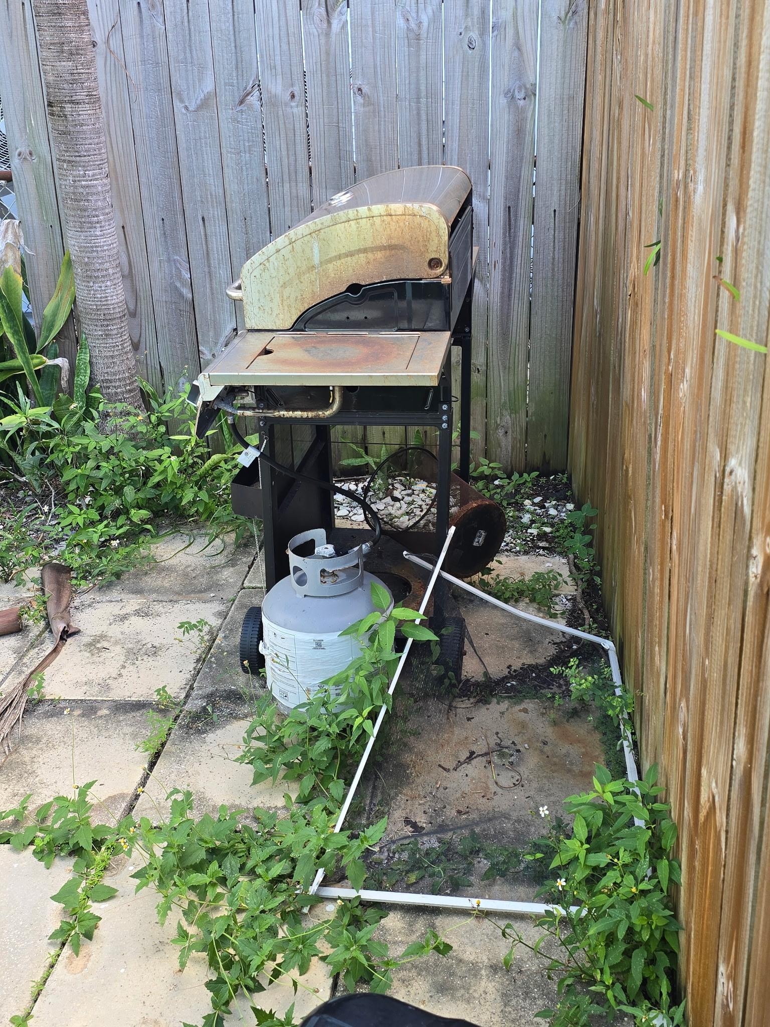 Debris and overrun with weeds