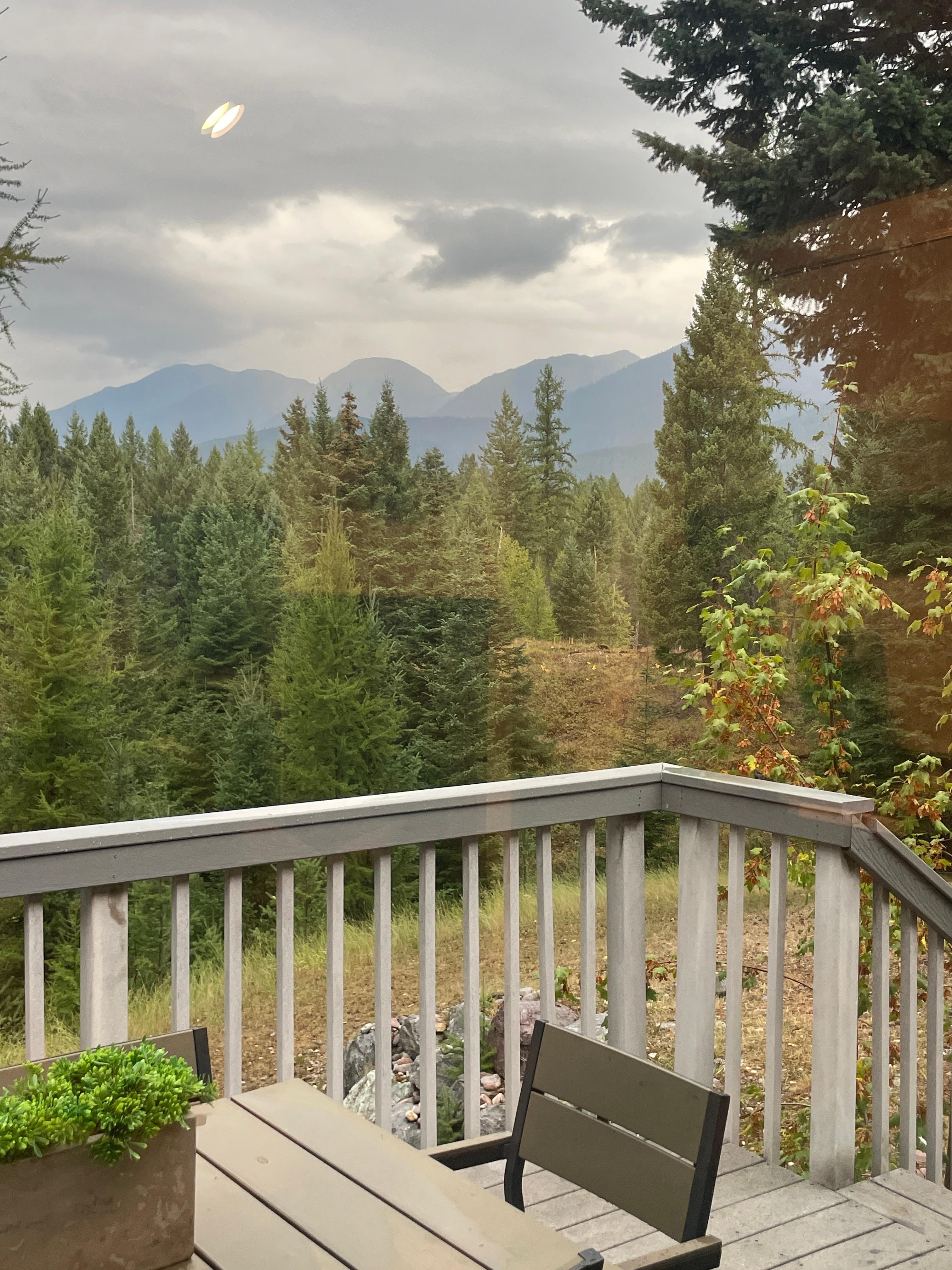 View from the back door in Sept!