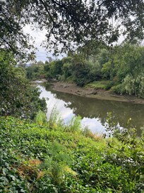 Napa River just a short walk away.