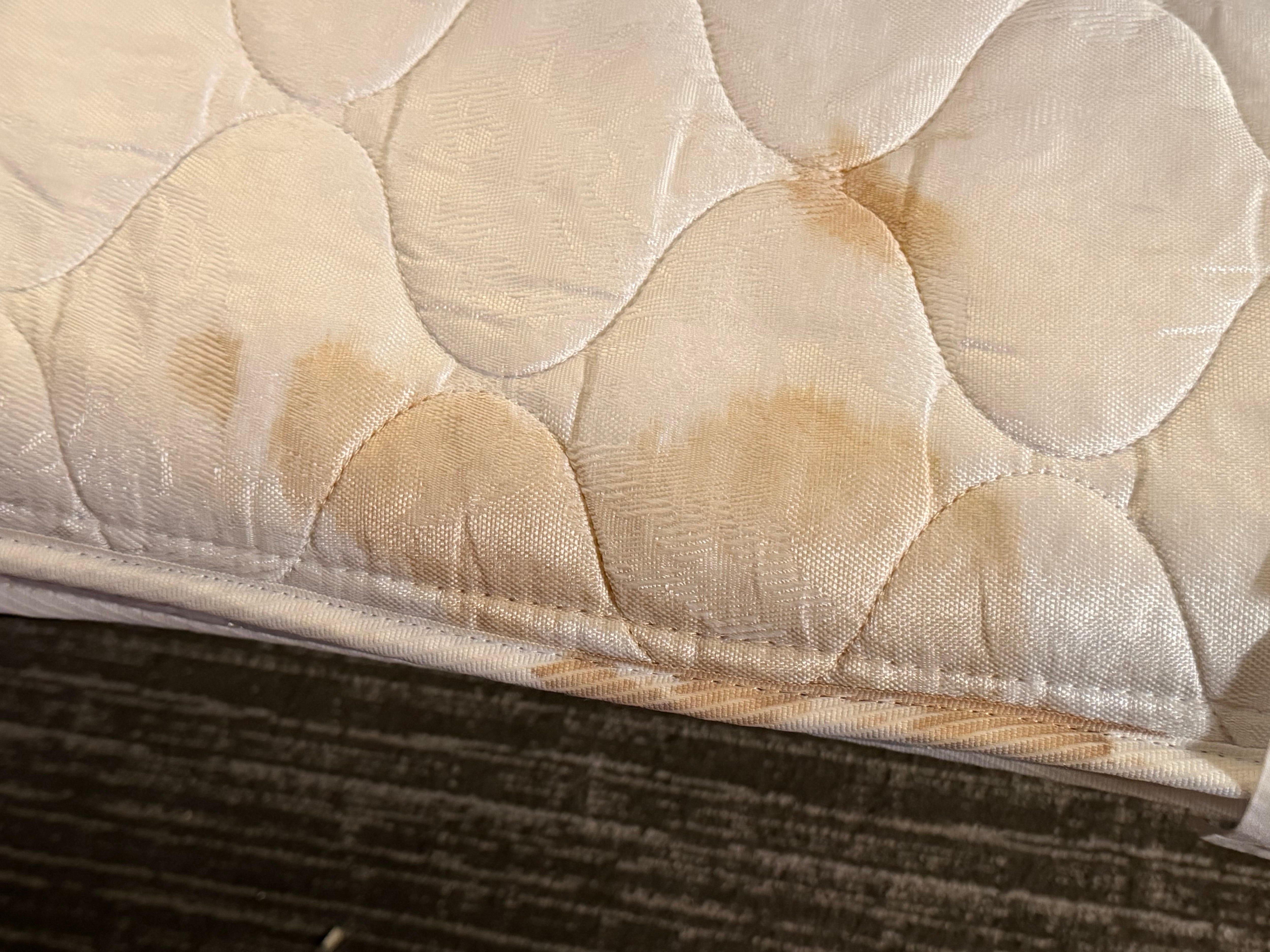 A little better cleaning in the rooms. This was the stain on the pull out bed