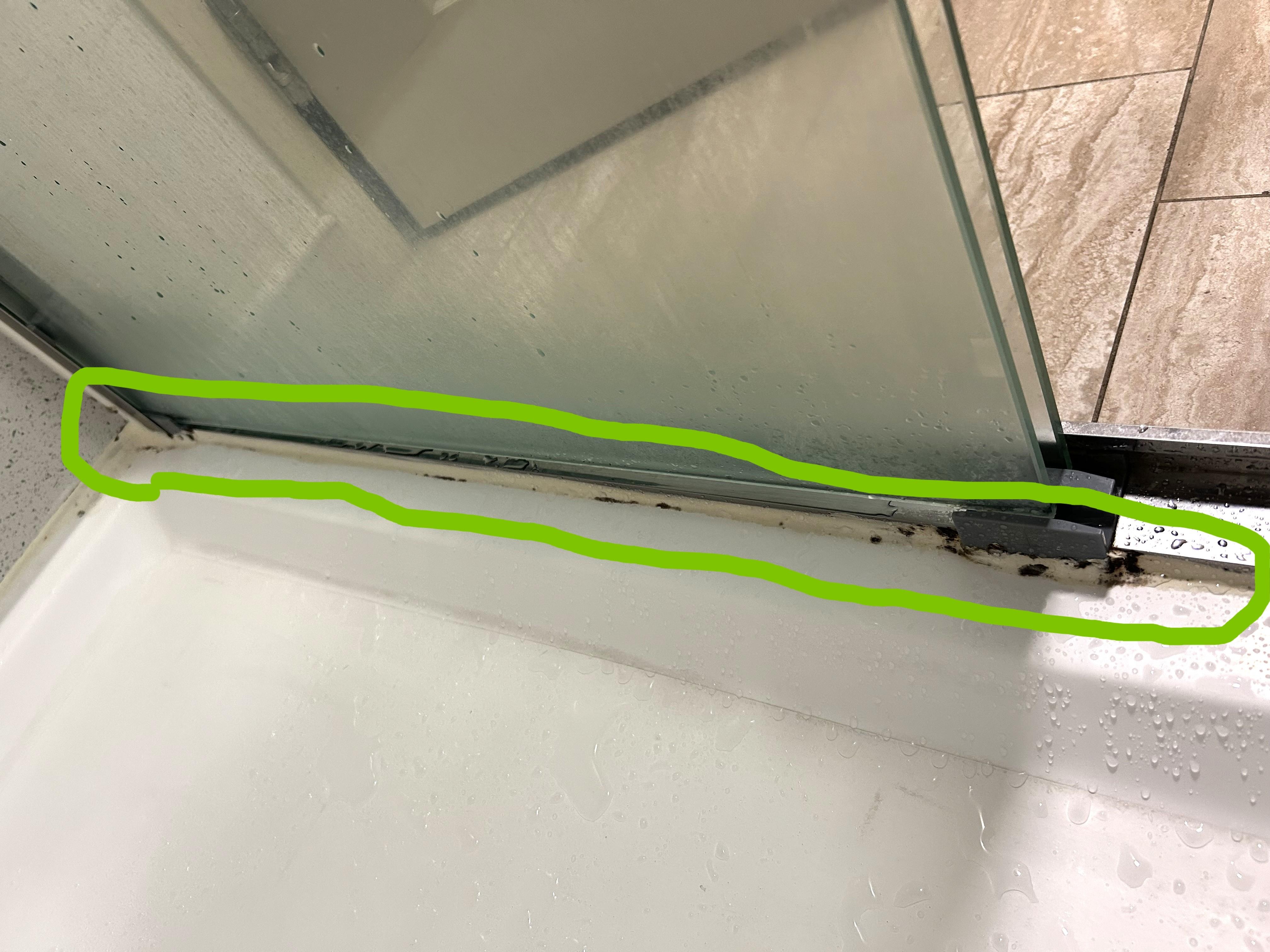 Mold along Caulk in Shower along sliding door frame