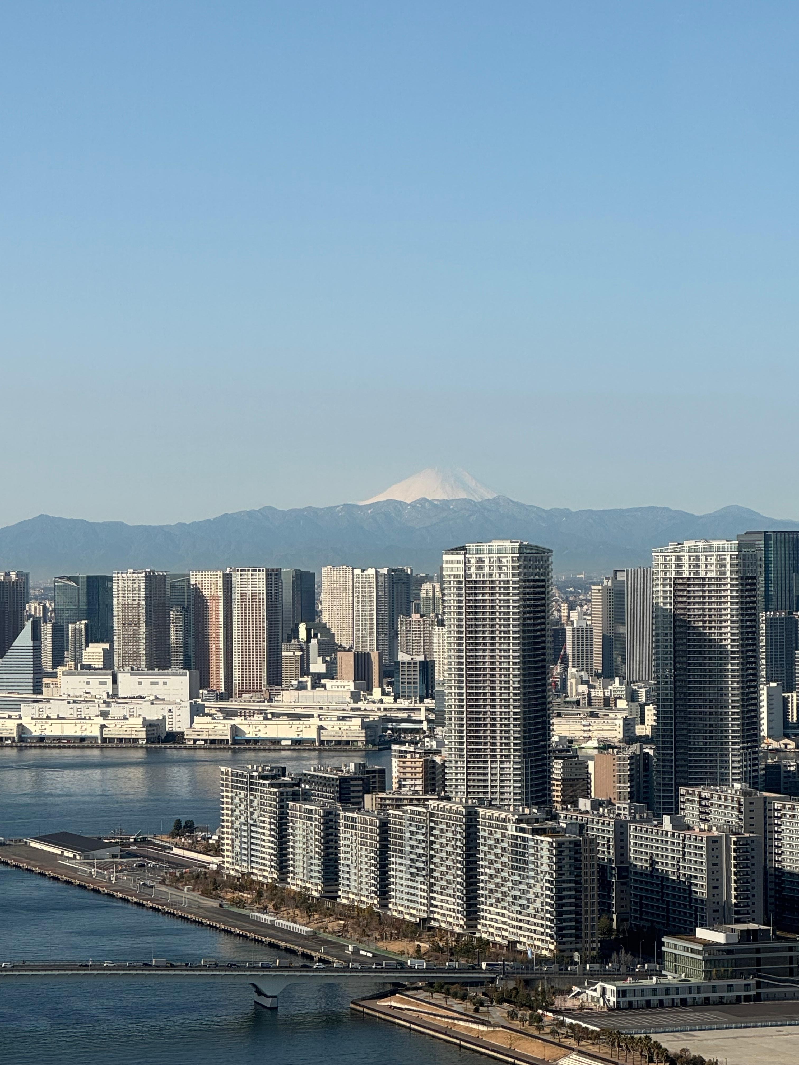 로비에서 보이는 전망
