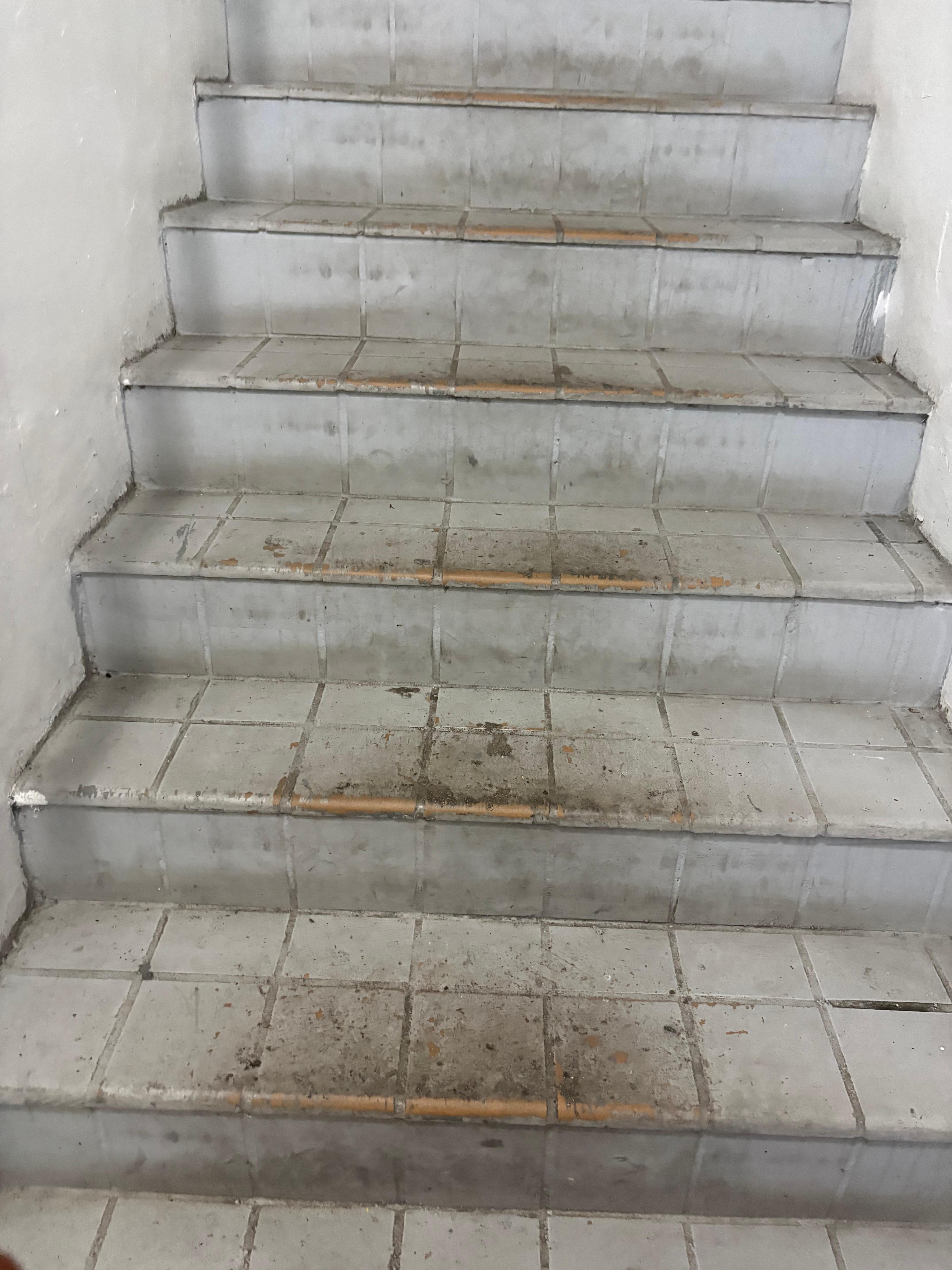 Stairs outside the front door