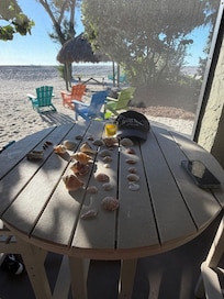 The view from the room to the Gulf of America! Shells everywhere!!!
