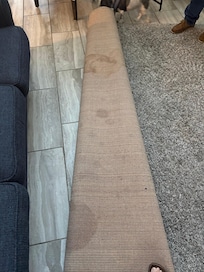 Small area of rug that was full of stains (soiled by dogs?)