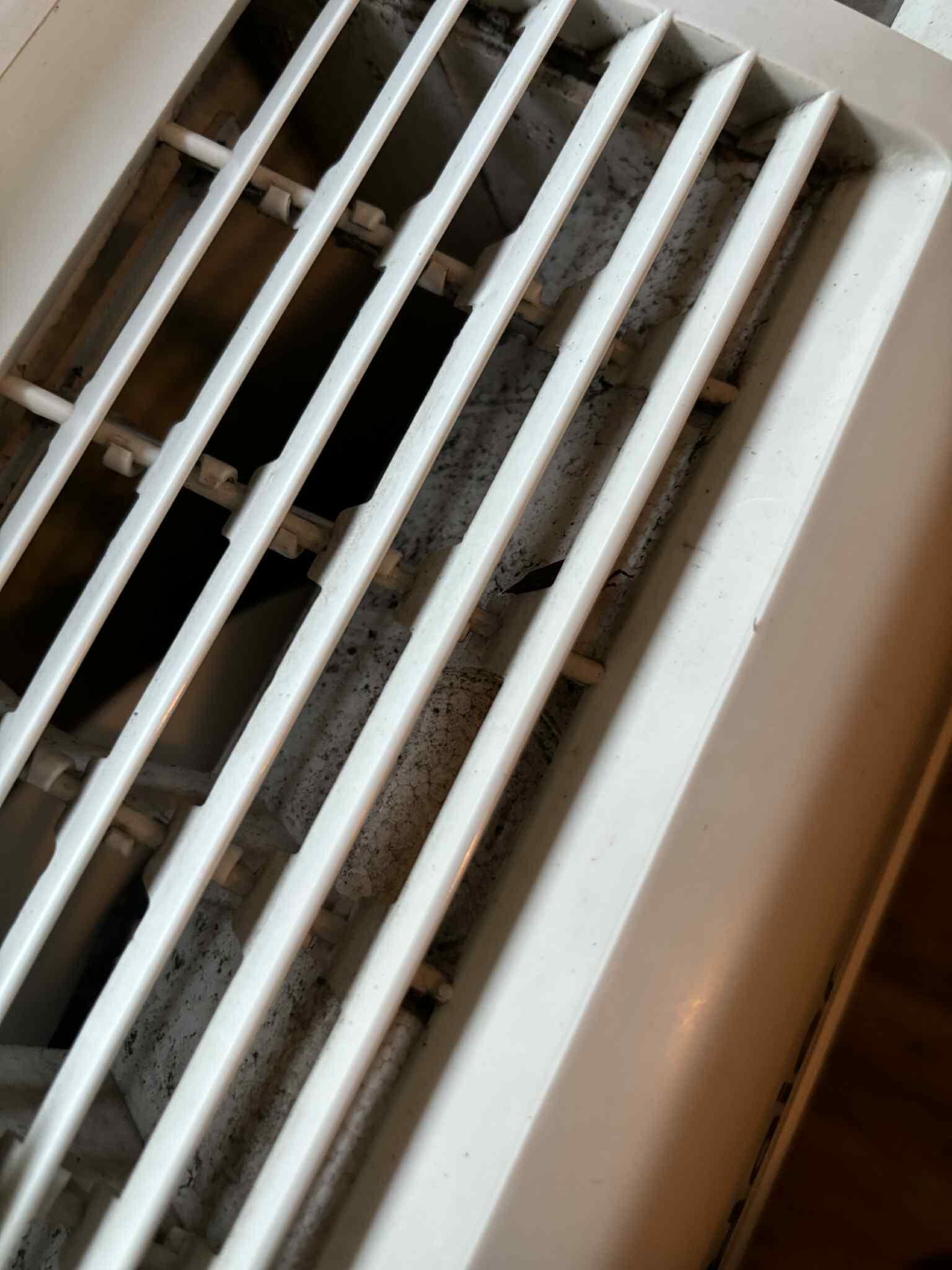 Bugs and dirt in air conditioner 