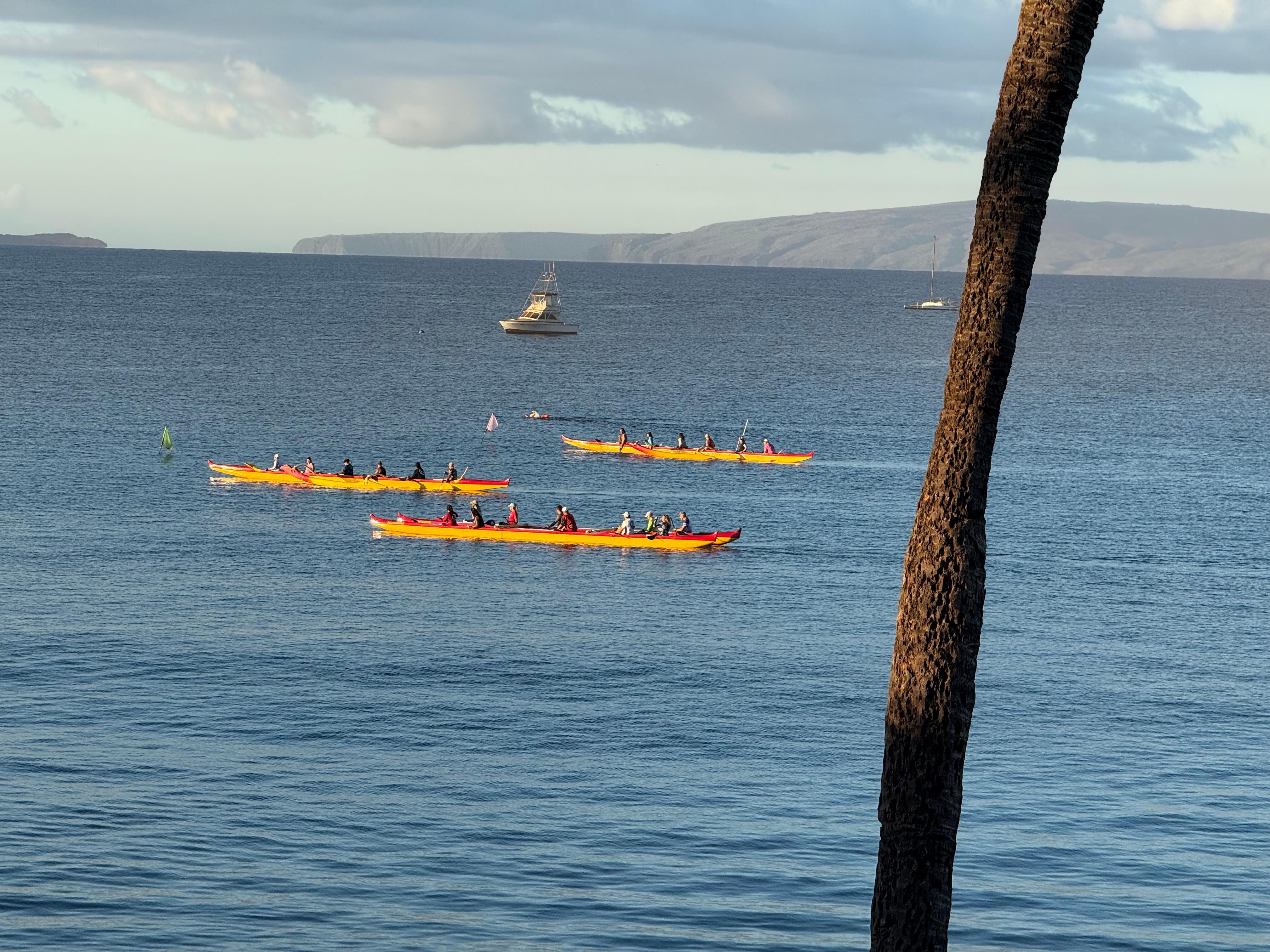 Enjoyable views from the balcony