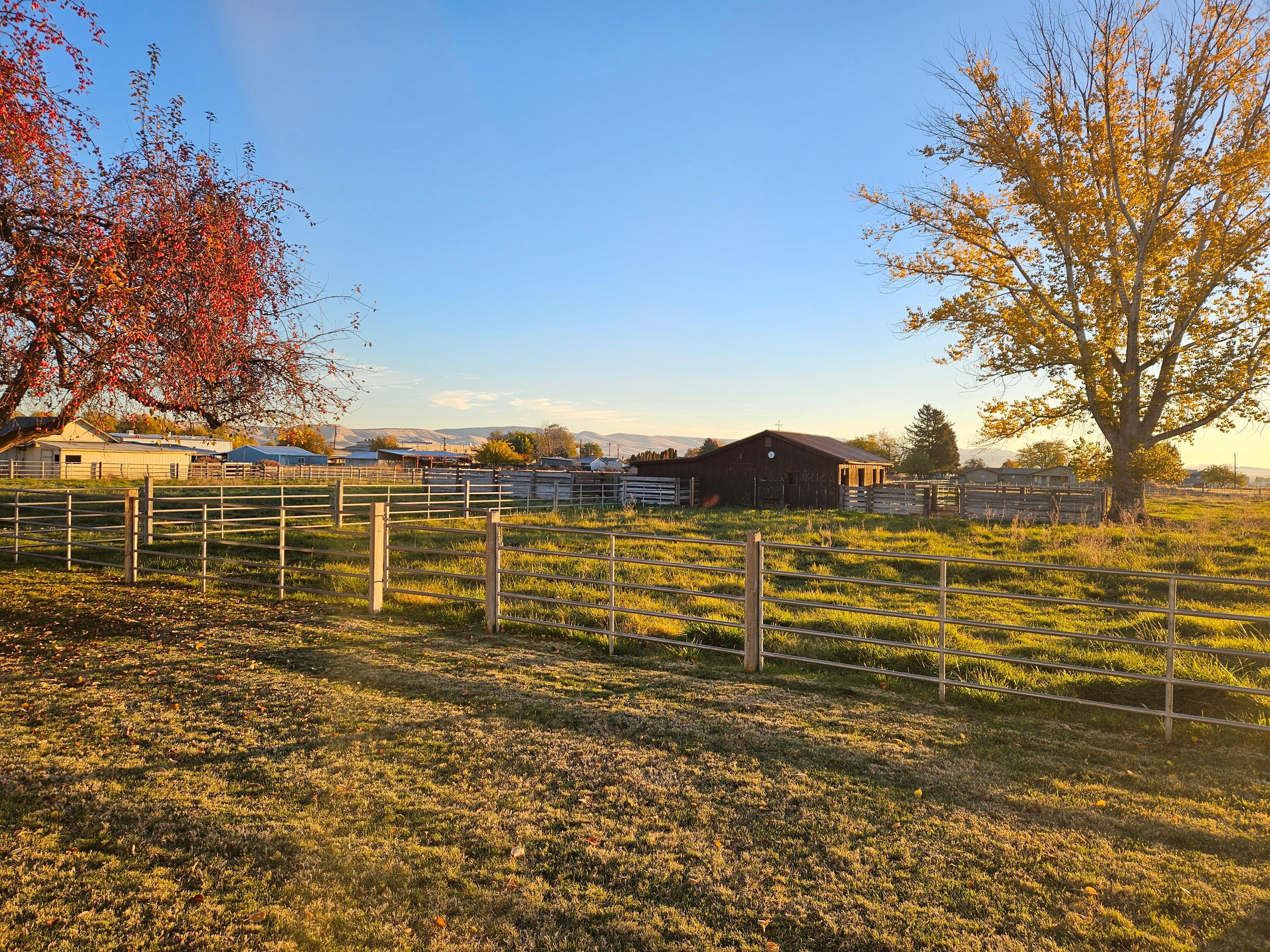 View from the back of the house.