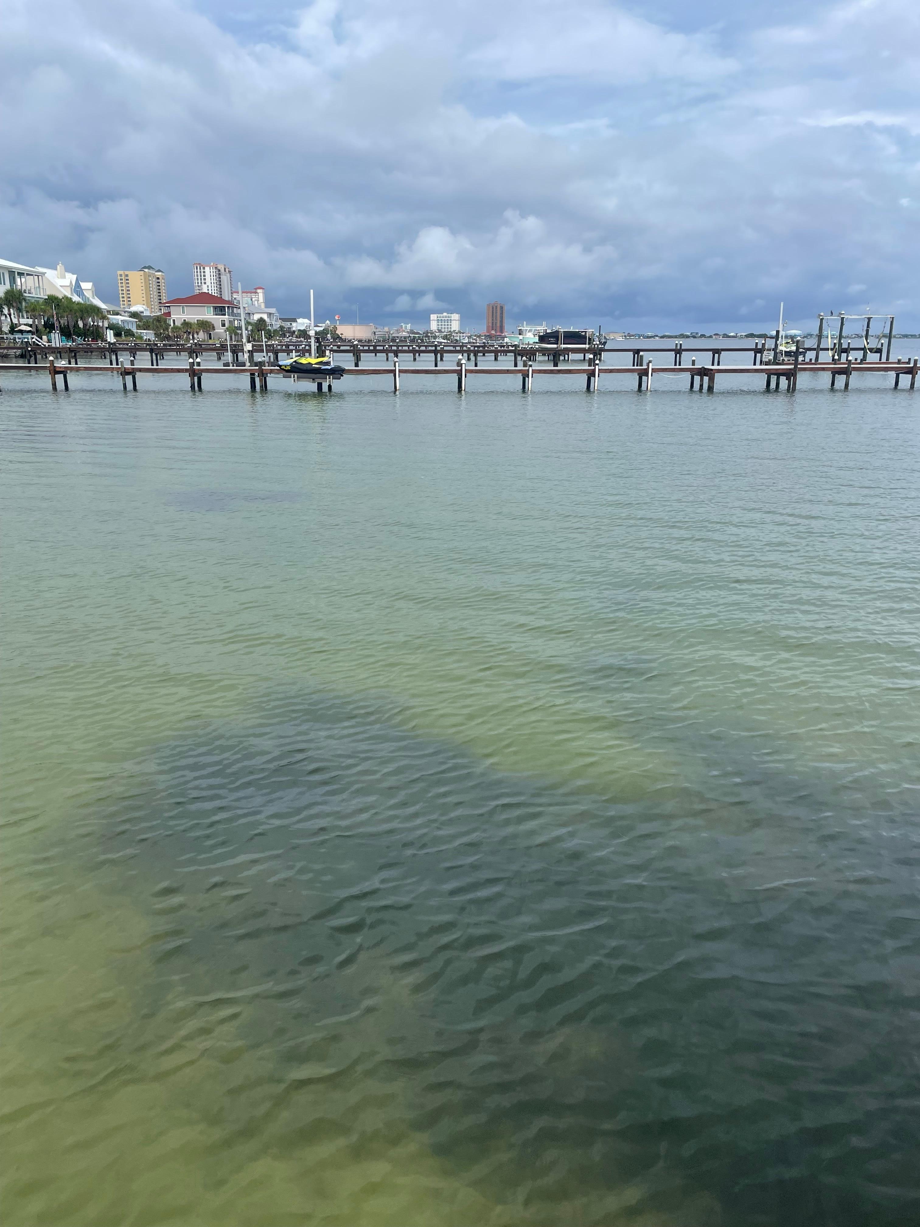 Standing down on the dock. 