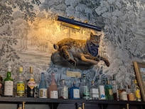 the Bobcat at the Bobcat Room