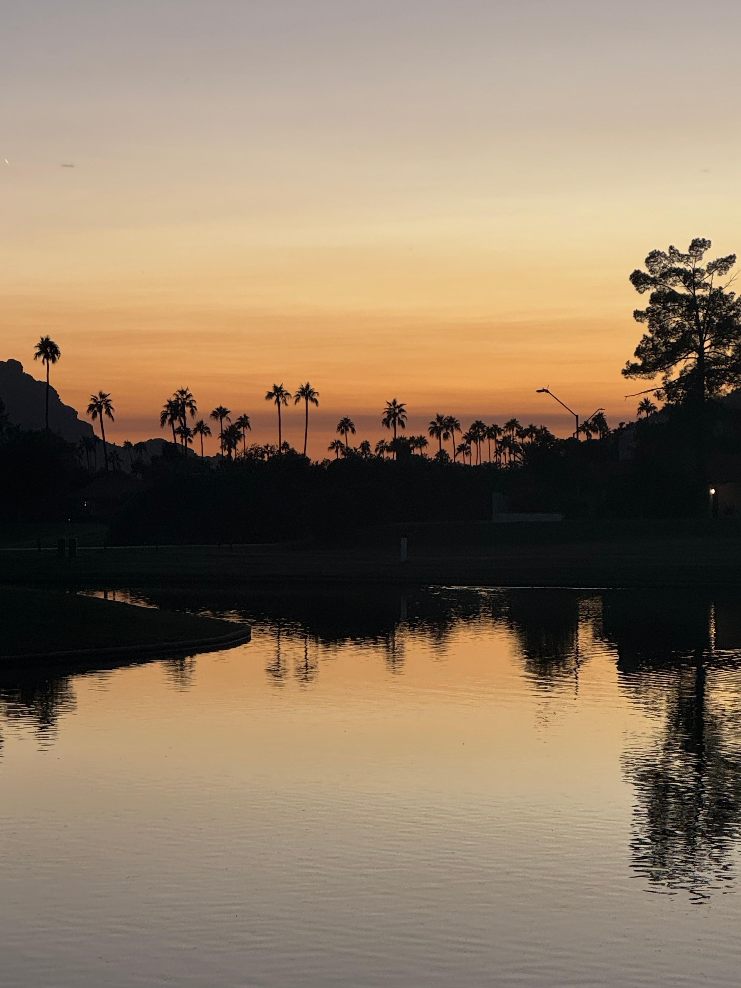 Evening walk in the neighborhood 