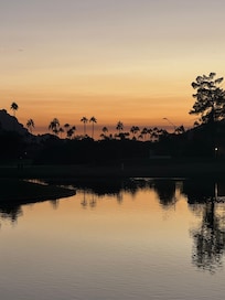 Evening walk in the neighborhood