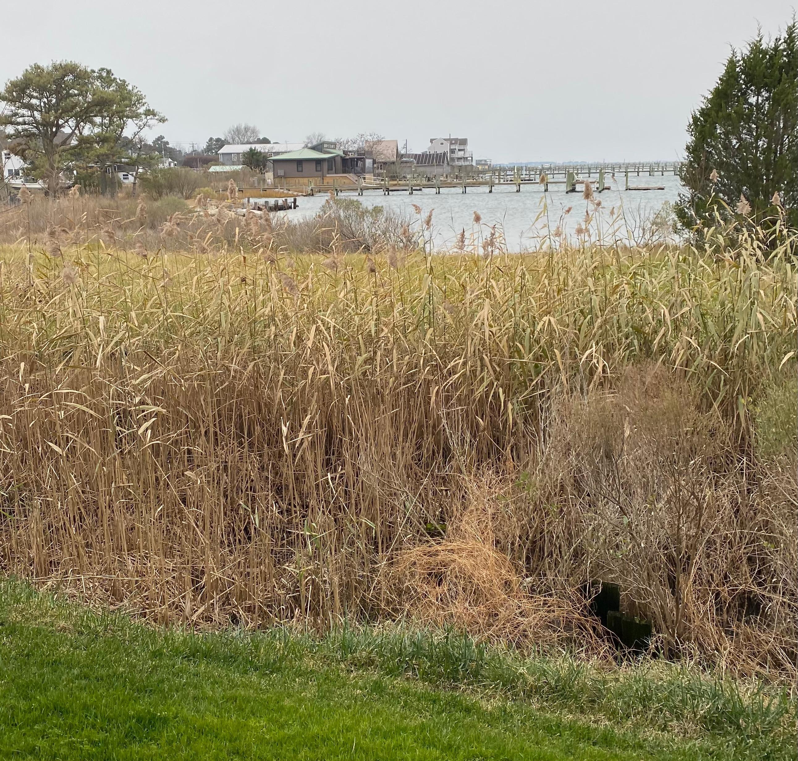 The view from our balcony. 