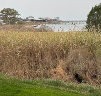 The view from our balcony.