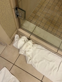 Water on floor from shower