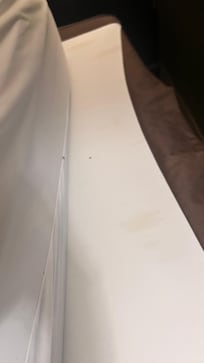 Bed bugs and staining on mattress.