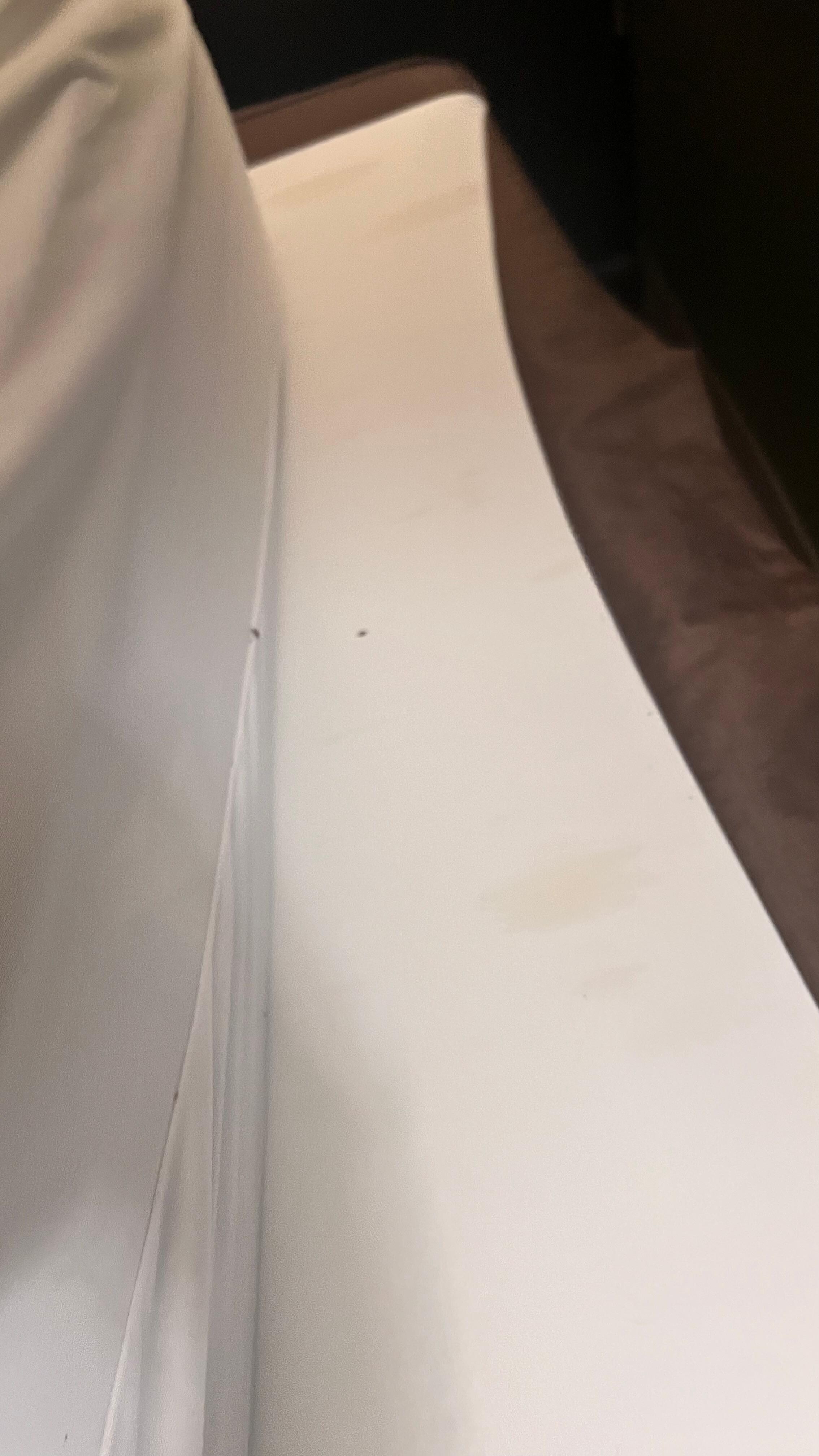 Bed bugs and staining on mattress.