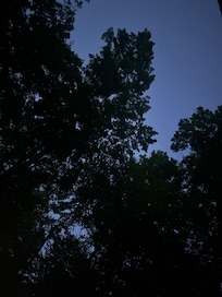 Looking up from deck