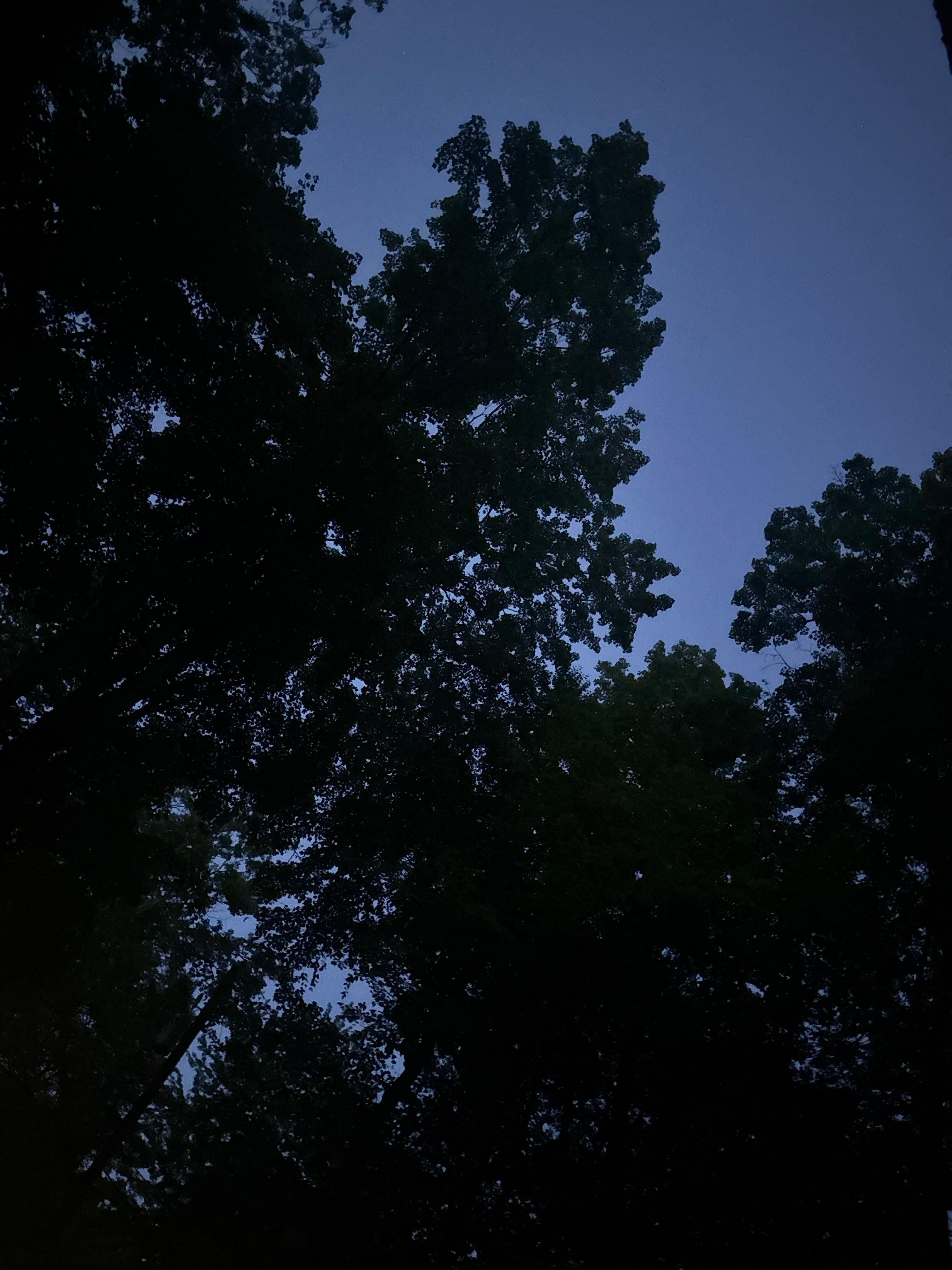 Looking up from deck