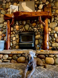 Pup in front of the fireplace