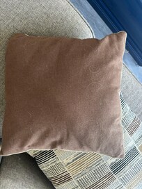 Dog hair on couch pillow after they cleaned.