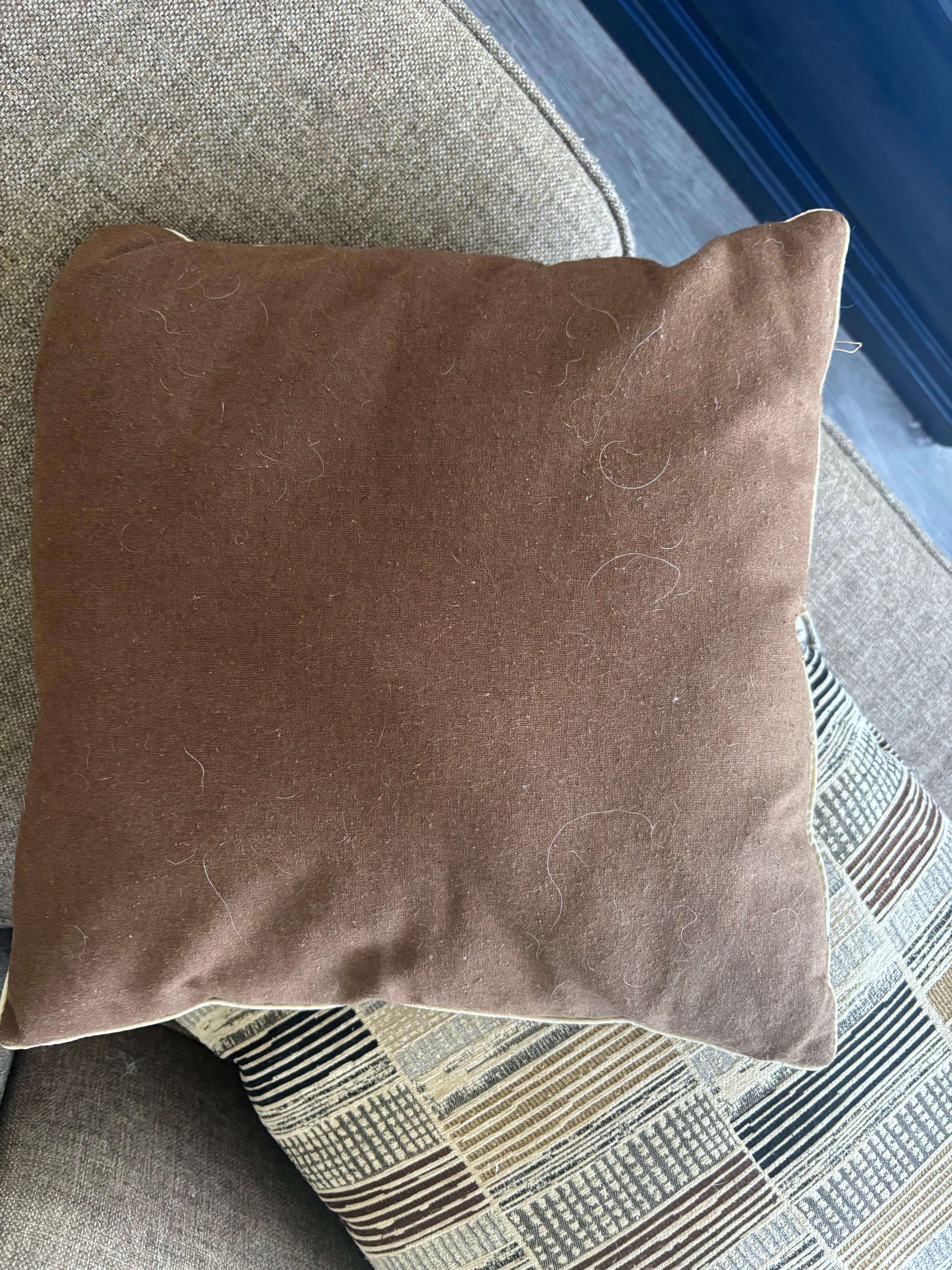 Dog hair on couch pillow after they cleaned.