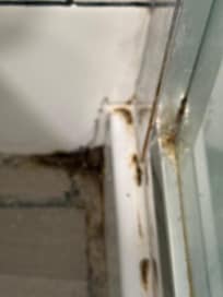Dirt, mold, mildew all around shower base and corners.