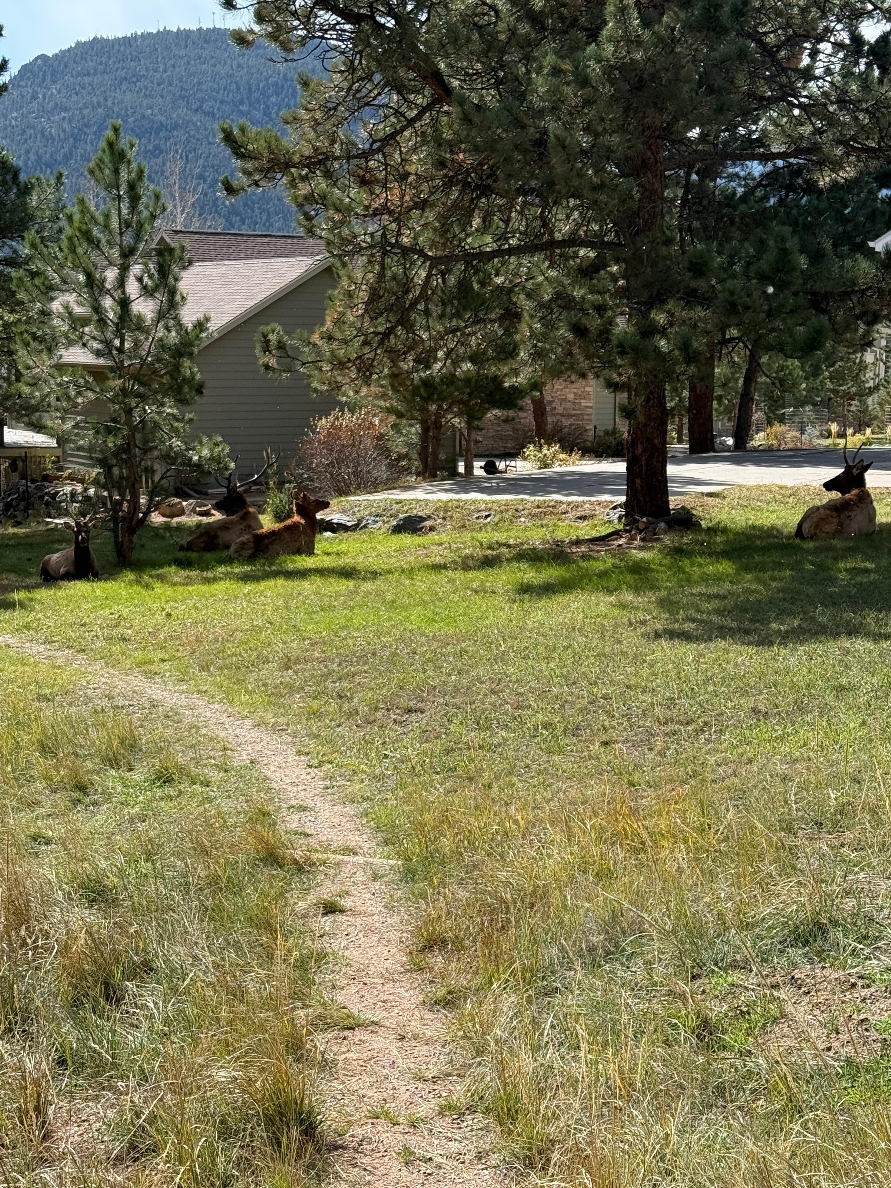 Path through neighborhoods to Stanley 