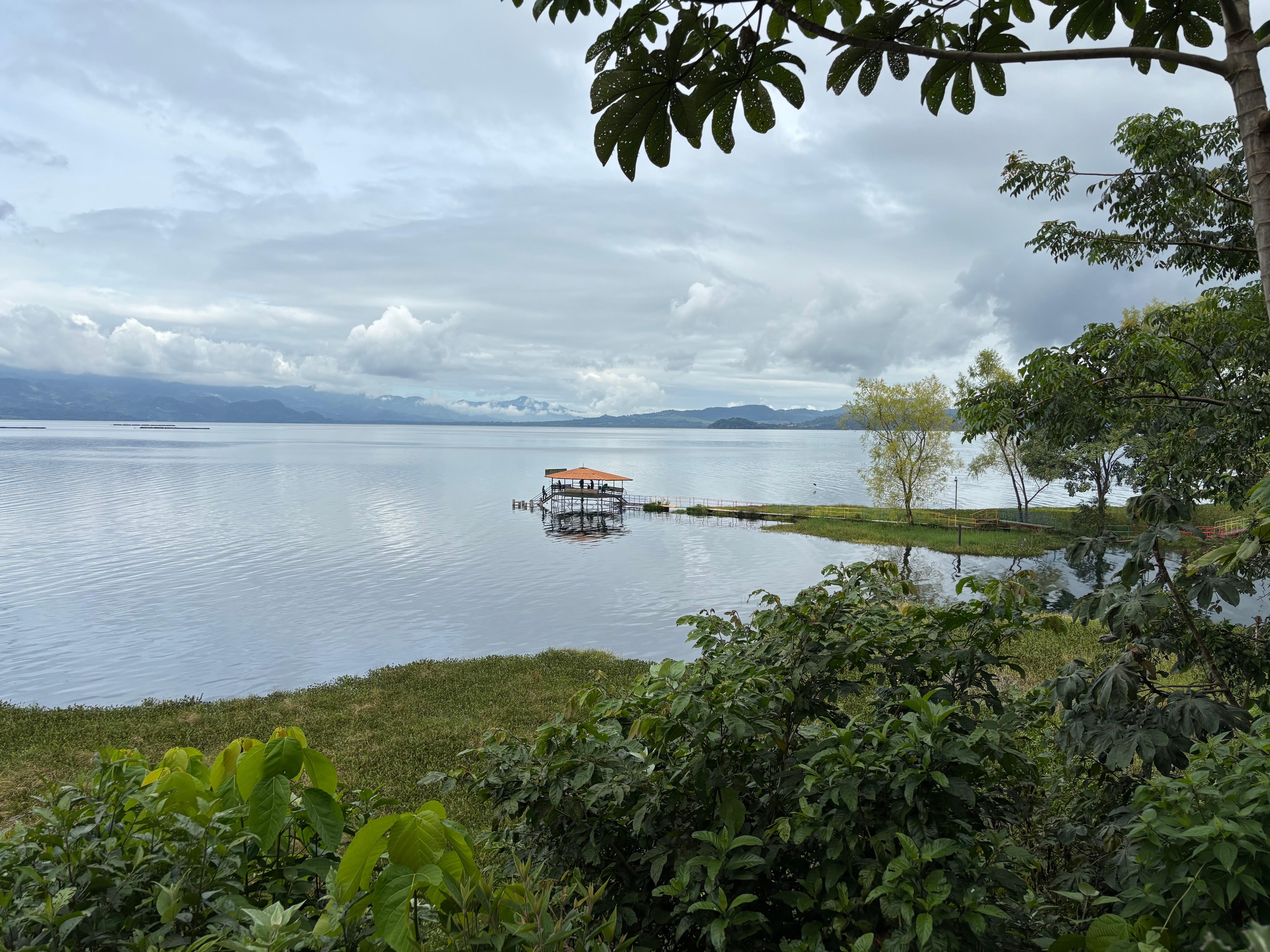Lake view from the gardens 