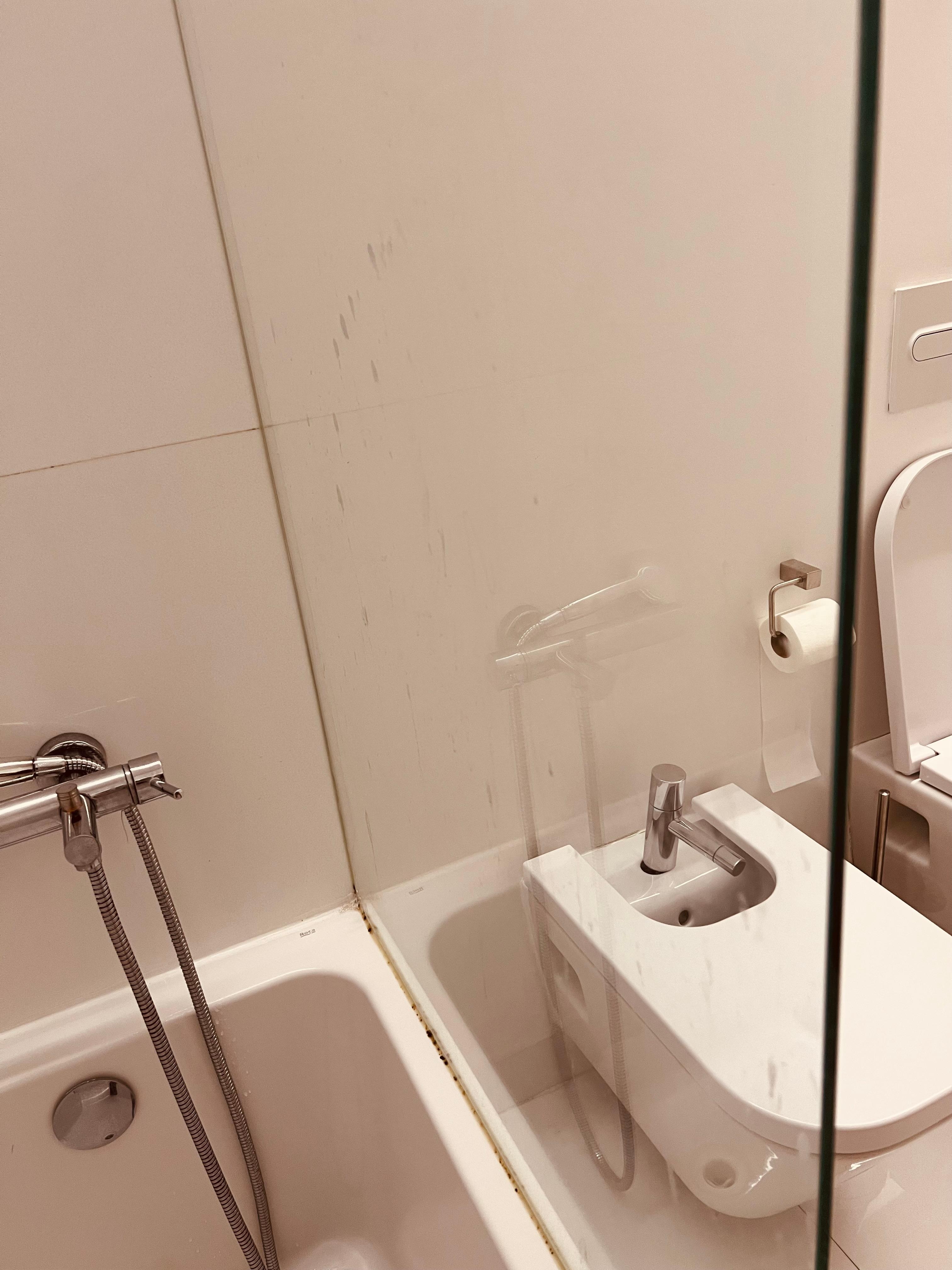 Grimy- Gross- Bathroom tub with mold, leaking faucet