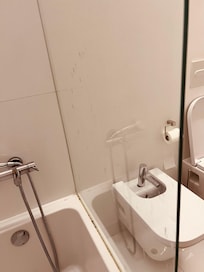 Grimy- Gross- Bathroom tub with mold, leaking faucet