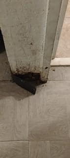 Mold and rust in room