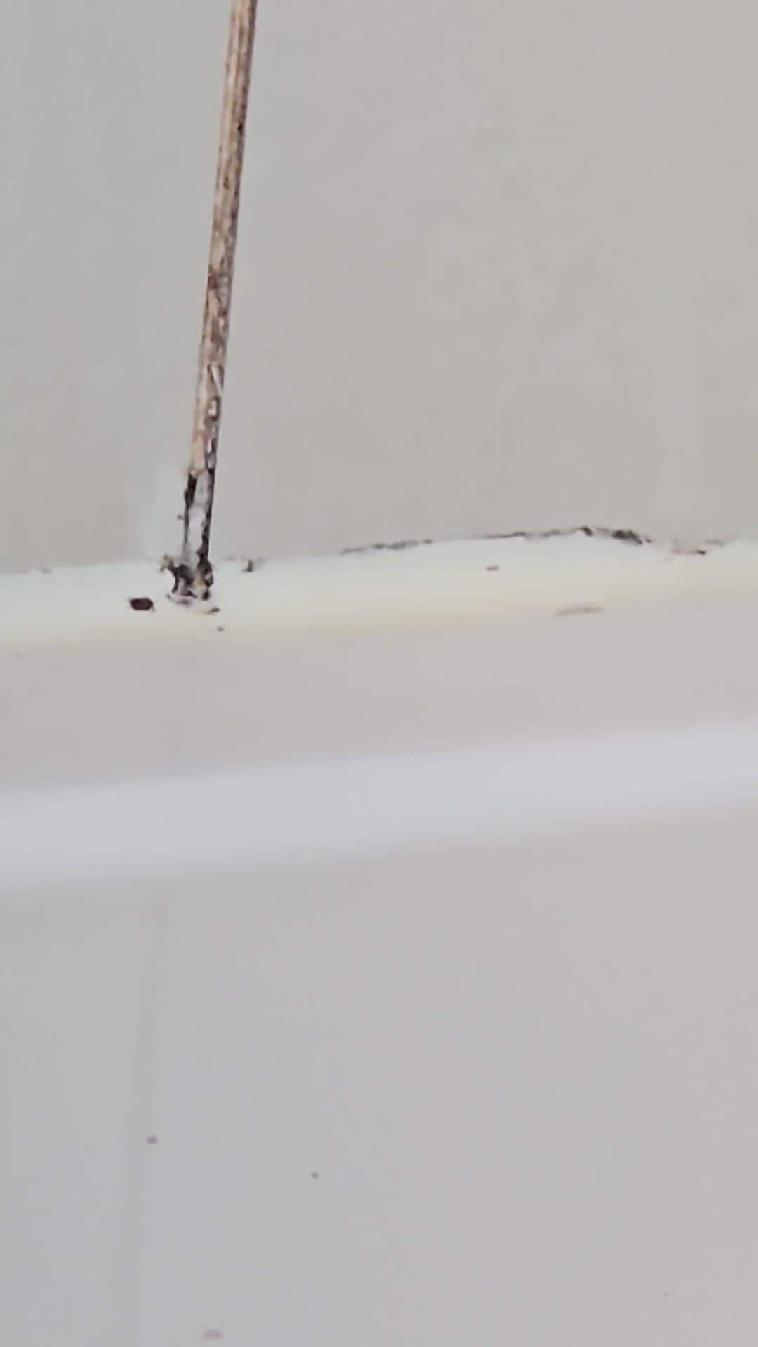 Mould in bathroom