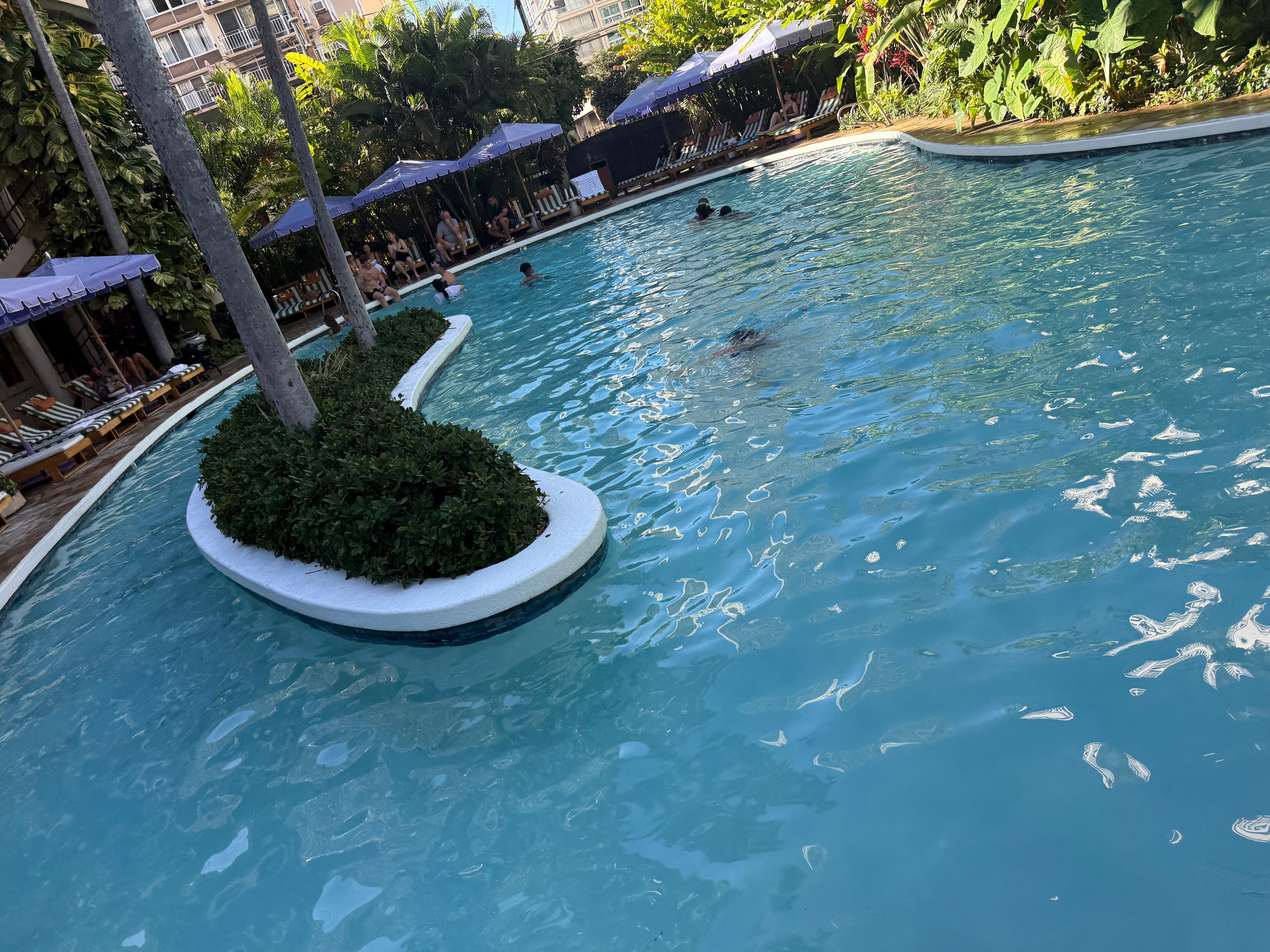 Pool