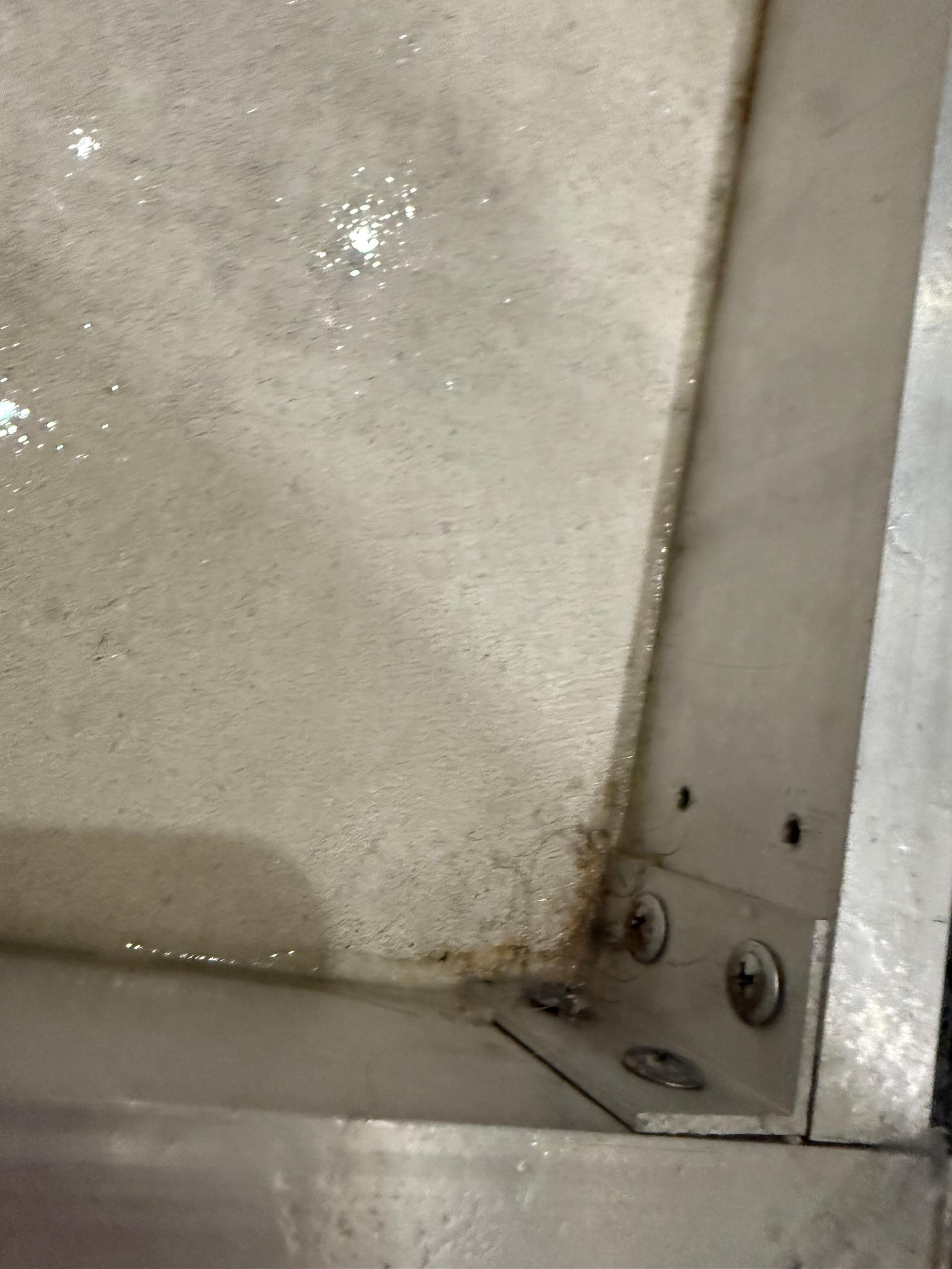 Mold and someone else’s hair in another bathroom