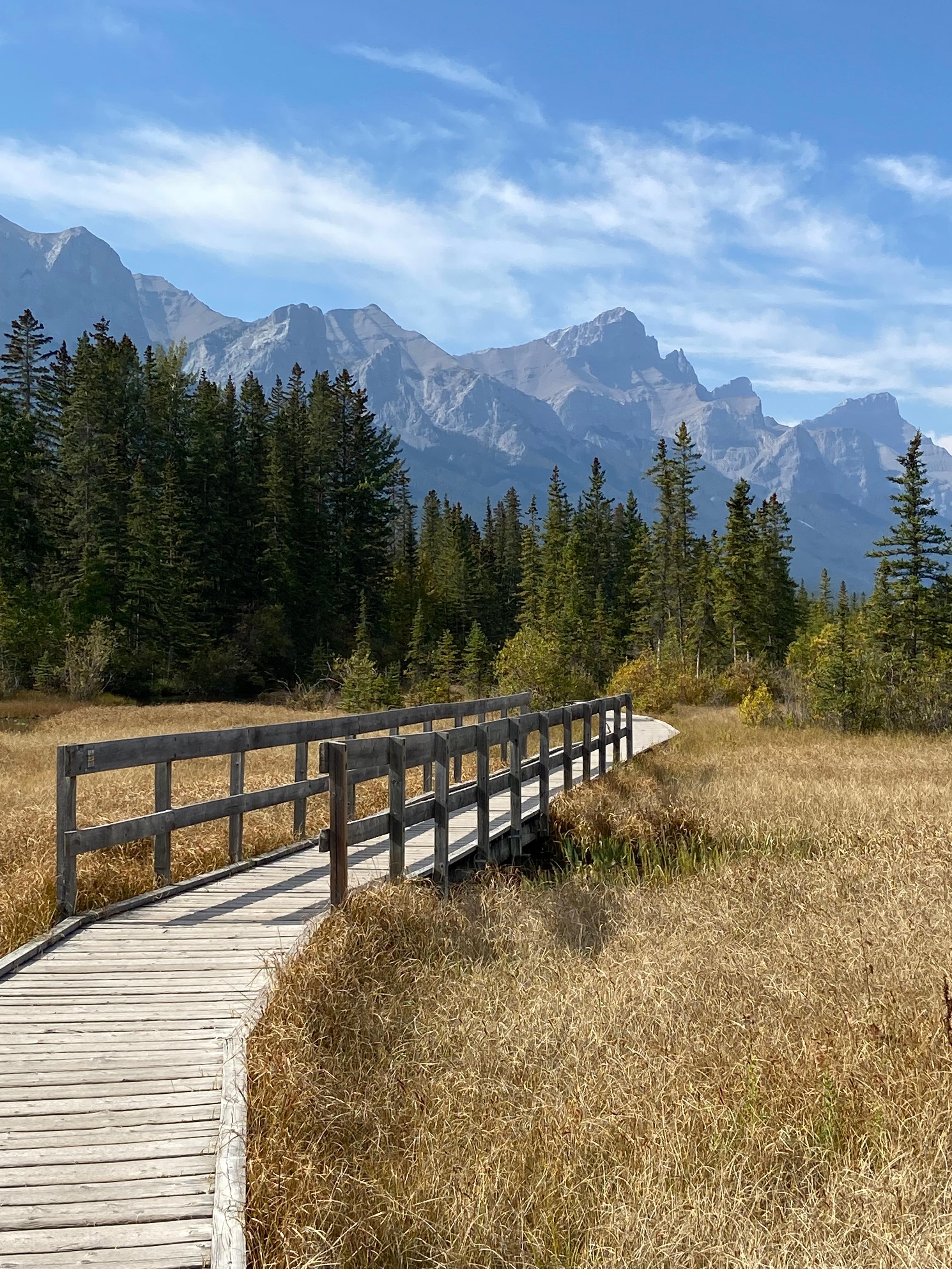 Walking path near the Malcolm Hotel